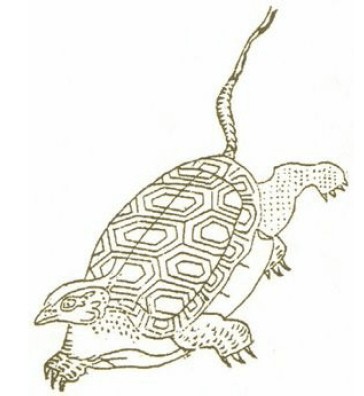 旋龟图，选自清代毕沅图注的《山海经》