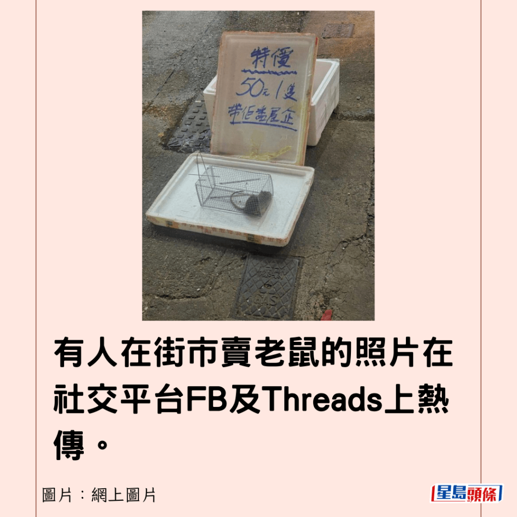 有人在街市賣老鼠的照片在社交平台FB及Threads上熱傳。