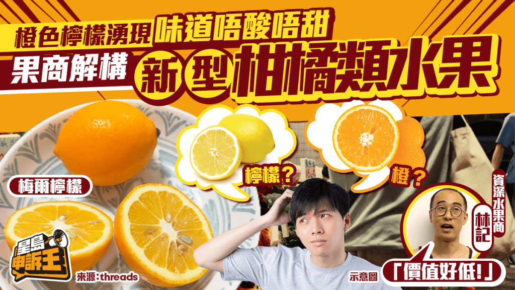 橙色檸檬湧現味道唔酸唔甜 果商解構新型柑橘類水果 | 星島申訴王