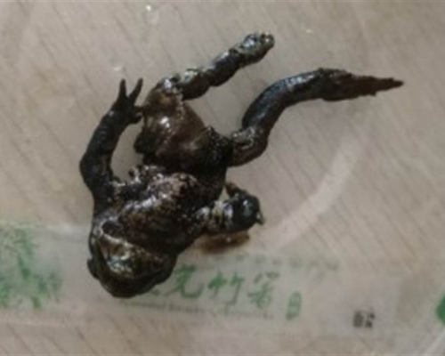 浙江女子叫外賣吃到一半竟發現裡面有癩蛤蟆。(網圖)