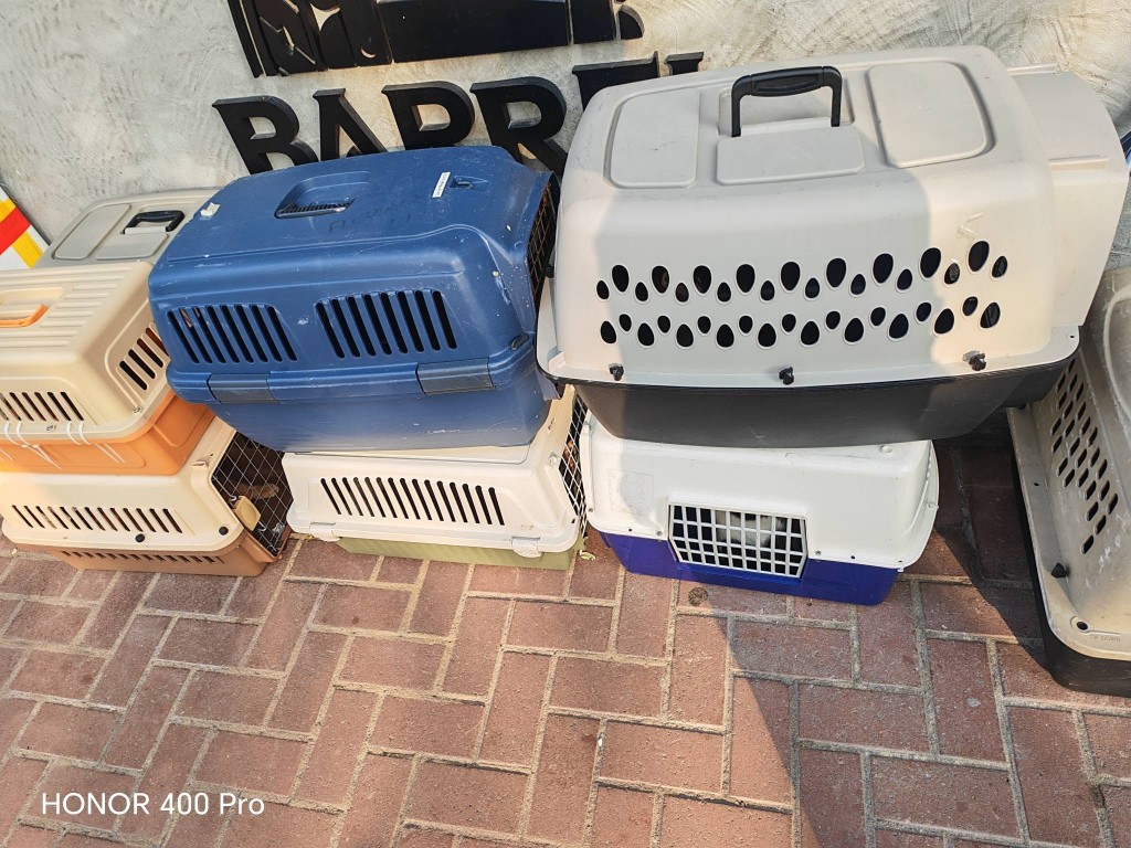 事發單位內貓咪獲熱心機構帶走照顧。FB:Easypet LTD 事發單位內貓咪獲熱心機構帶走照顧。FB:Easypet LTD