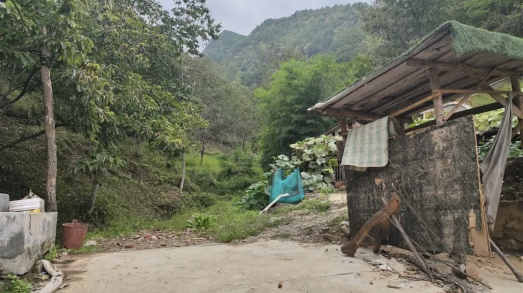 村民说陈亮占地砍树，压坏了水管，连几百元赔偿也没支付。