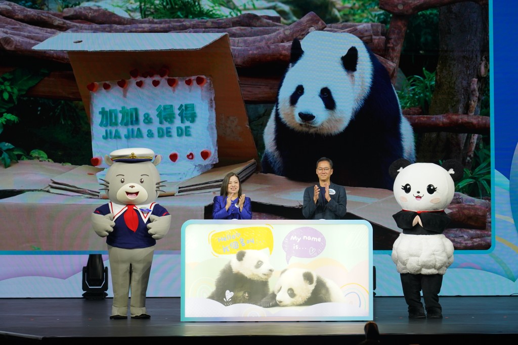 家姐和細佬正式命名為加加、得得。葉偉豪攝 家姐和細佬正式命名為加加、得得。葉偉豪攝