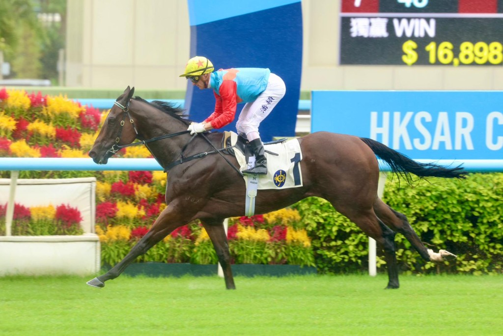 馬王「嘉應高昇」上周日輕取特首盃後,下月將遠征澳洲,角逐全球最高獎金的草地大賽珠穆朗瑪峰錦標。 馬王「嘉應高昇」上周日輕取特首盃後,下月將遠征澳洲,角逐全球最高獎金的草地大賽珠穆朗瑪峰錦標。