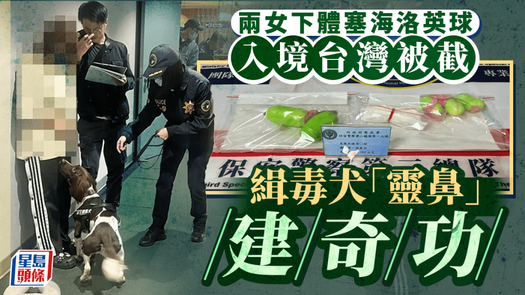 2女下體塞海洛英球圖入境台灣  醒目緝毒犬揭發建奇功