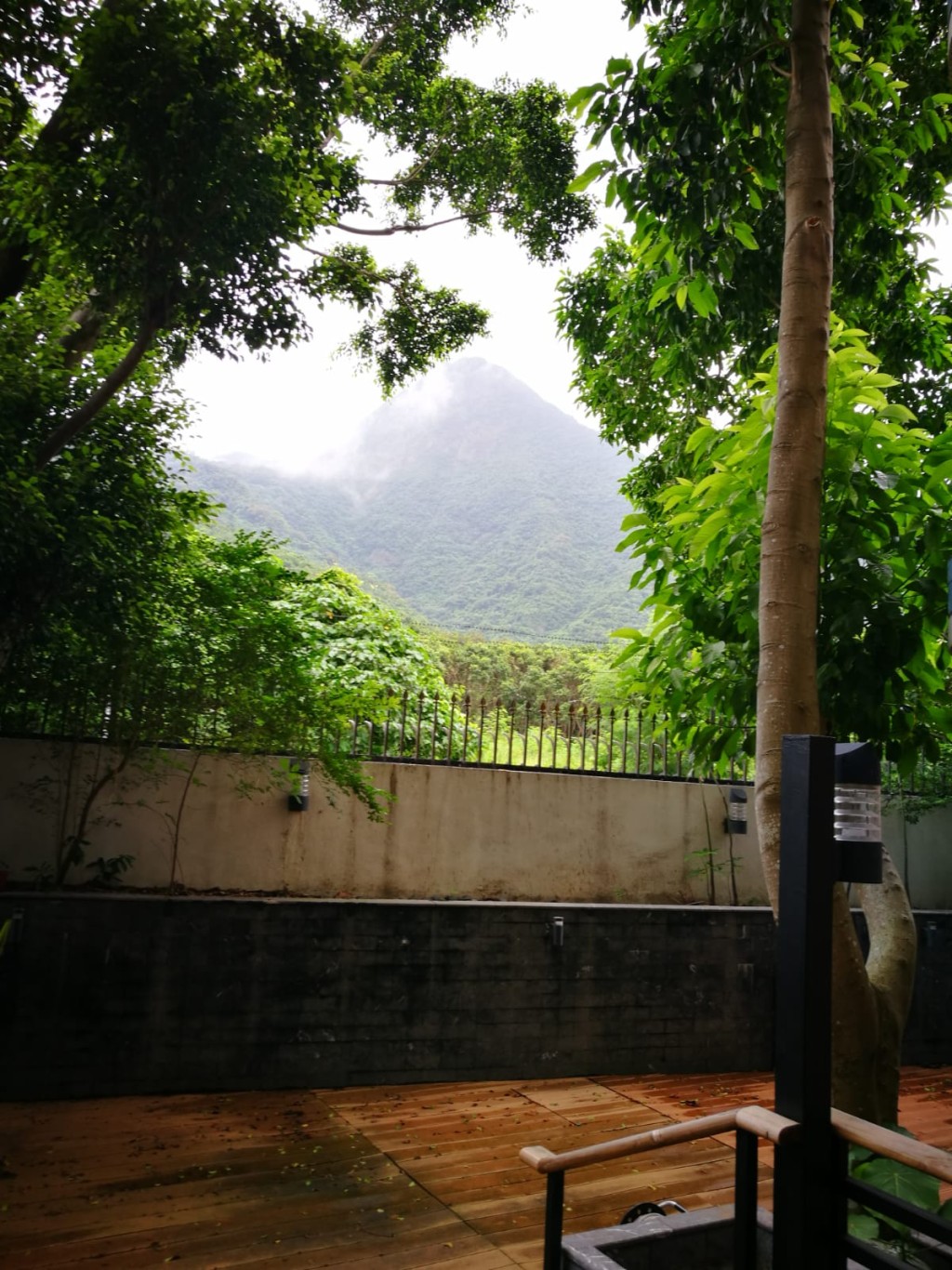 單位外望綠林景及山景，寫意無比。
