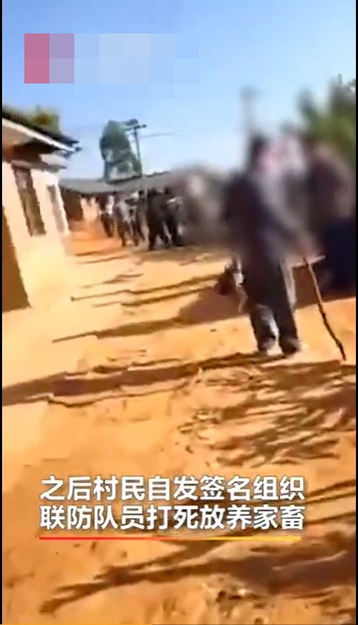 有網民指,雲南普洱瀾滄縣為了迎合上級檢查,打死居民放養的家禽。網圖
