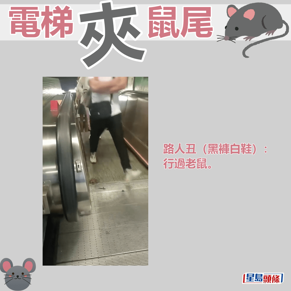 ​路人丑（黑裤白鞋）​：行过老鼠。fb“屯门友”截图