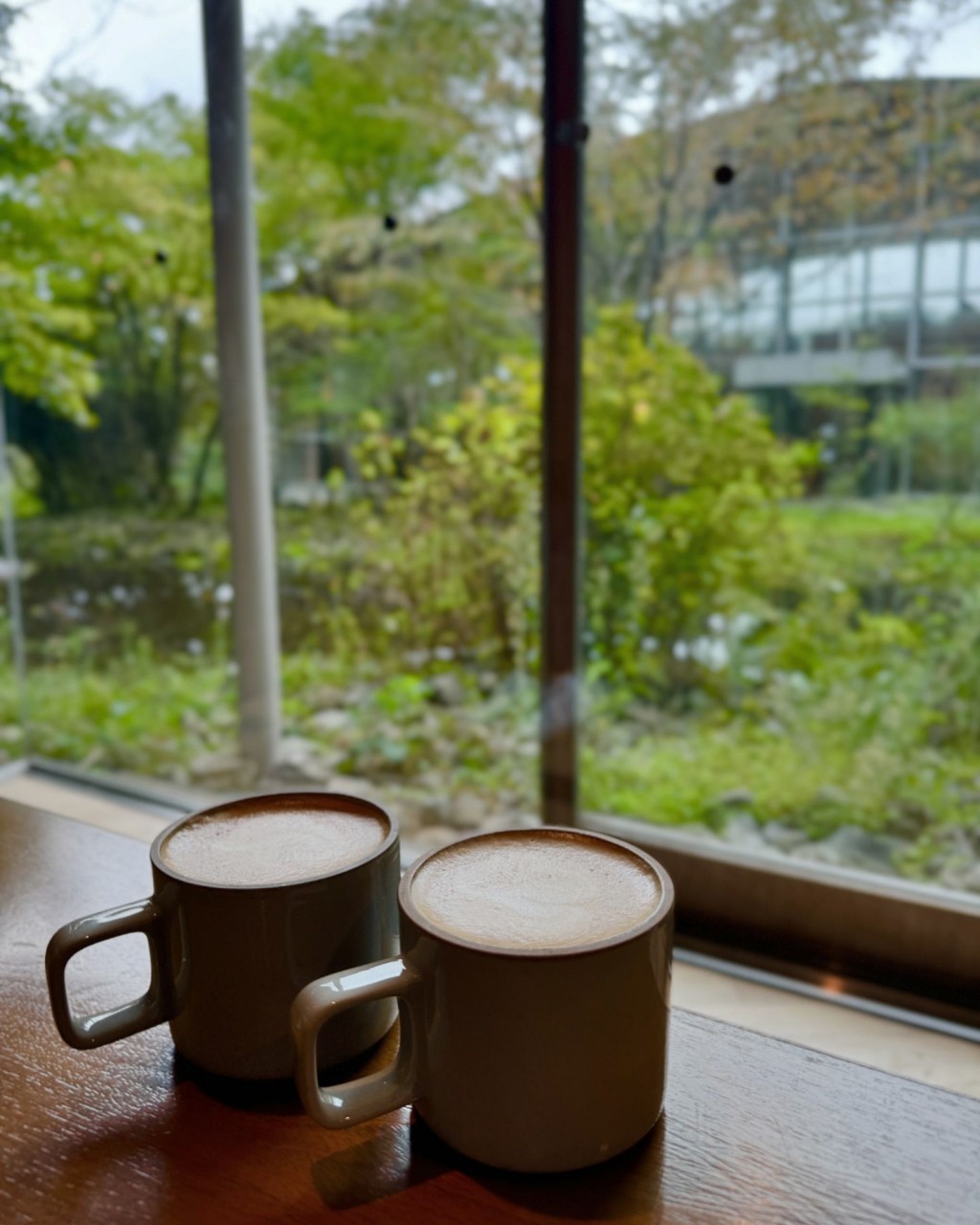 汤洛雯拍摄了一对茶杯及树林景。