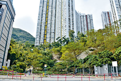 ■鴨脷洲海旁道地皮估值約11.5億至12.5億。