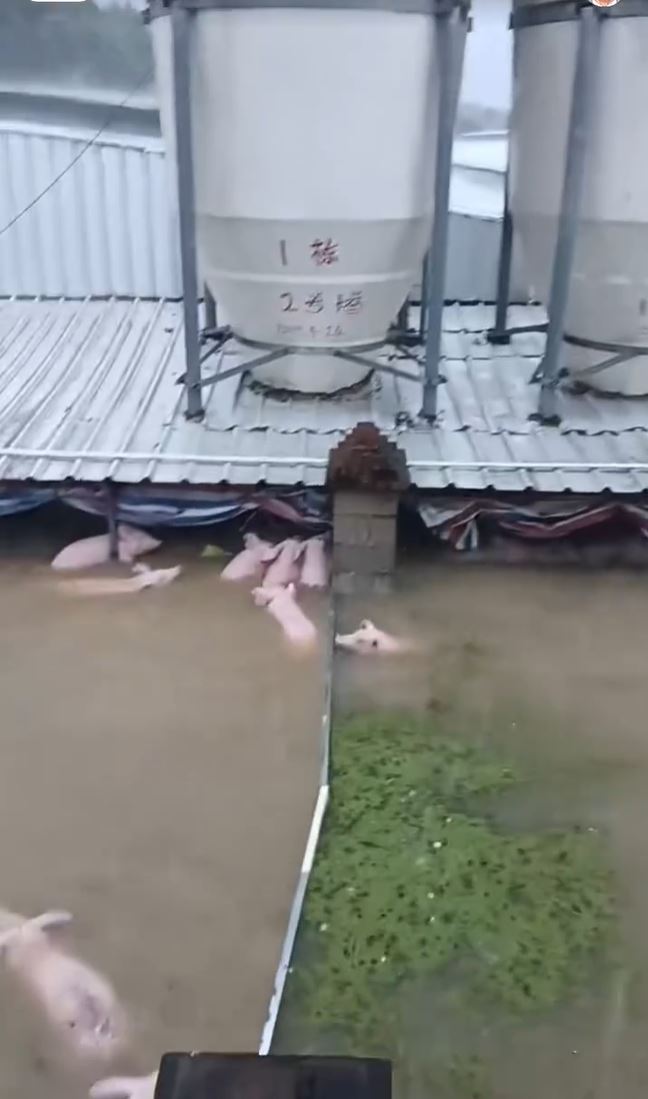 廣西暴雨成災，橫州六藍水庫決堤。抖音