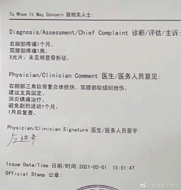 陳曉東傷勢診斷報告。
