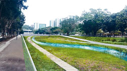 大圍明渠將提供親水設計的河道，「上游以生態為本，下游讓居民享用」。