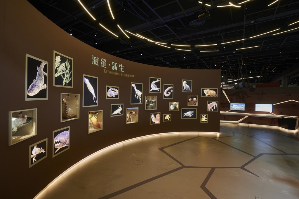 香港科學館常設展覽6「滅絕·新生」（圖片來源：香港科學館）