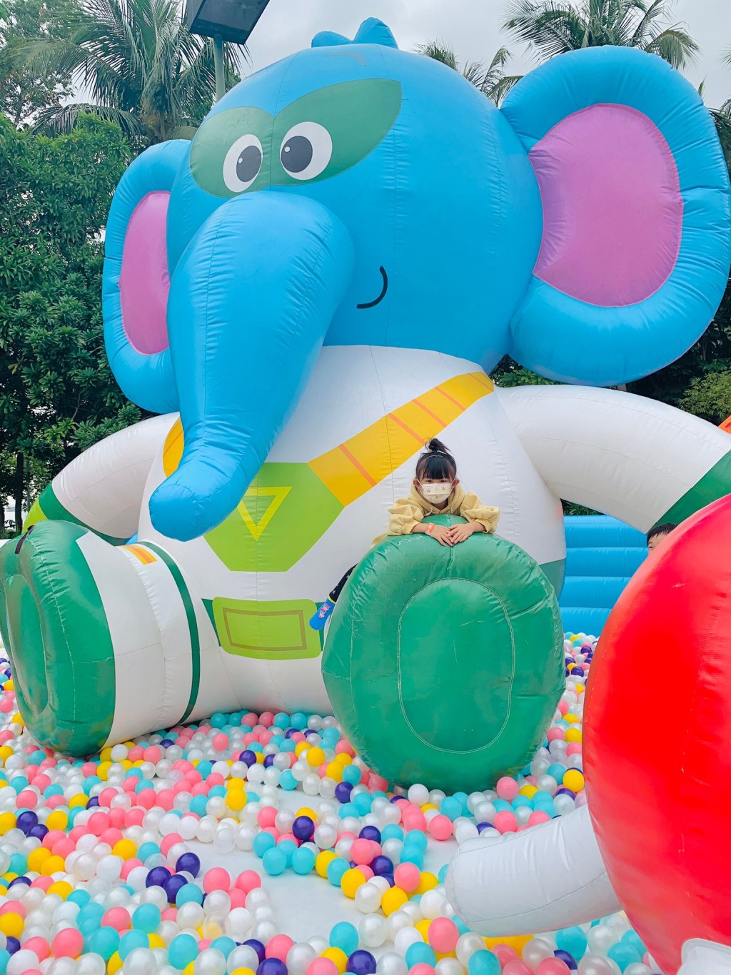 (圖片提供:mrs1amology) (圖片提供:mrs1amology)