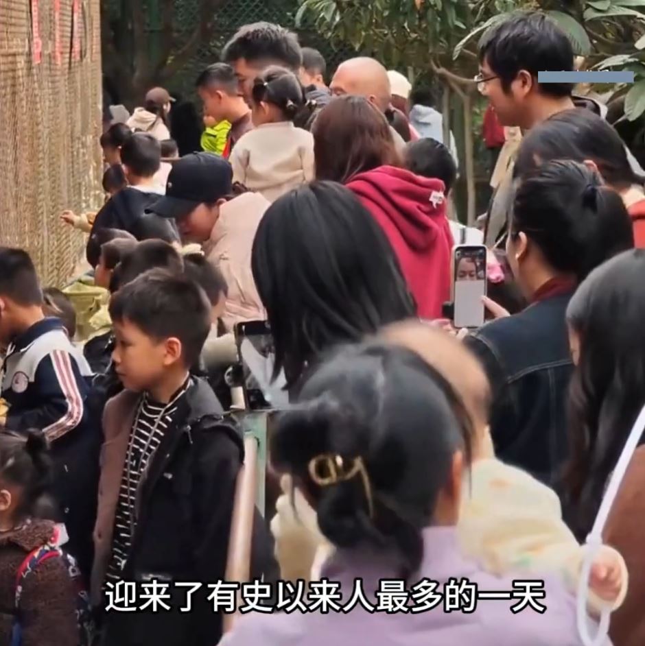 「最寒酸動物園」只有一條泥路通外界，網上爆紅後遊客不絕。抖音@小五動物園