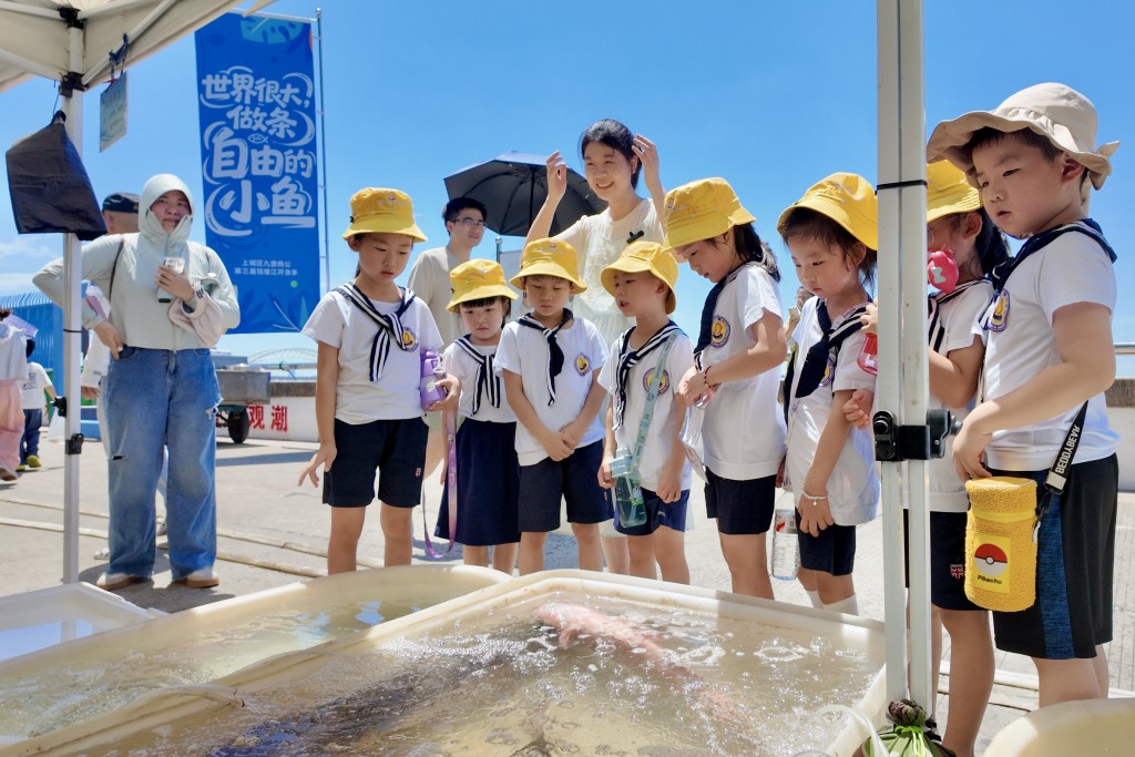 受少子化衝擊,內地去年2萬所幼稚園關停。中新社