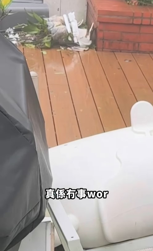 五索在半山豪宅花園內的家具盆栽被吹倒。