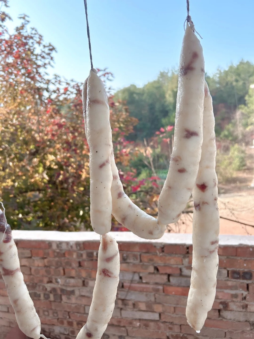 「九肥一瘦」邪惡臘腸在網上成熱話。小紅書@乾寶媽咪呀 「九肥一瘦」邪惡臘腸在網上成熱話。小紅書@乾寶媽咪呀