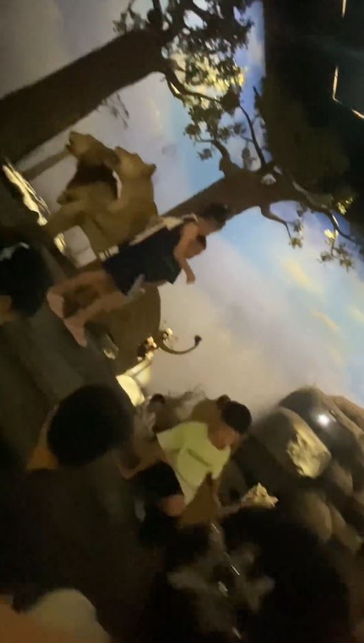 上海自然博物館有展台被熊孩子集體闖入。抖音