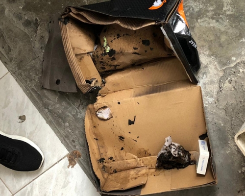涉案被燒鞋盒。 林思明攝