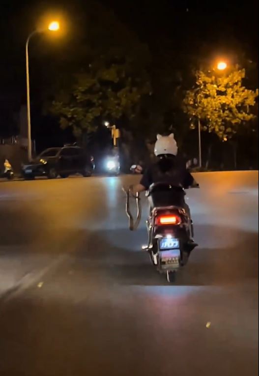 女騎士單手捉蛇駕車影片引起網民熱傳。微博