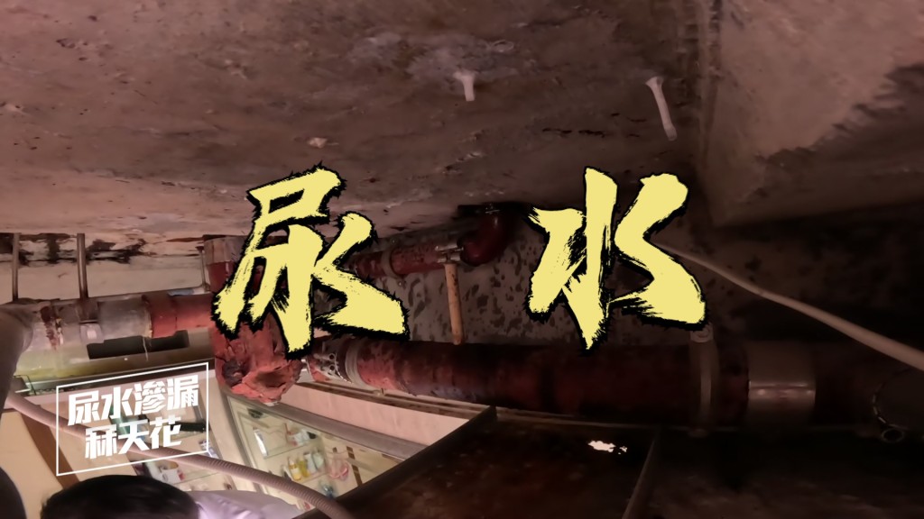 專家檢驗後，驚揭樓上滲下來的水有「尿液」成份。