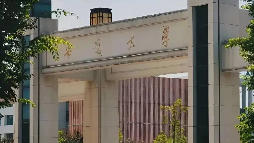 博士研究生被認定學術不端，安徽大學擬錄用惹關注。
