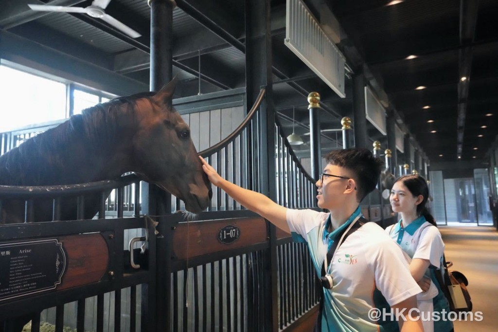 成員參觀新疆古生態園汗血馬基地。 成員參觀新疆古生態園汗血馬基地。