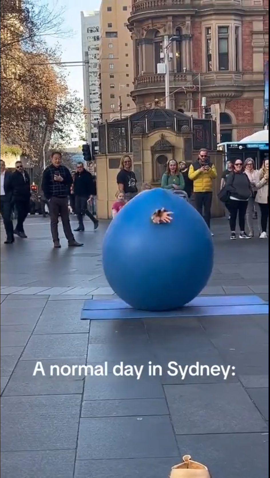 「悉尼氣球人」準備「破殼而出」。 X