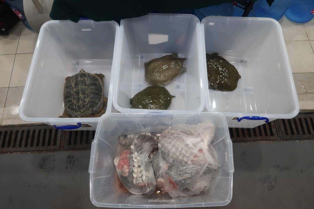 案中的檢獲物品。