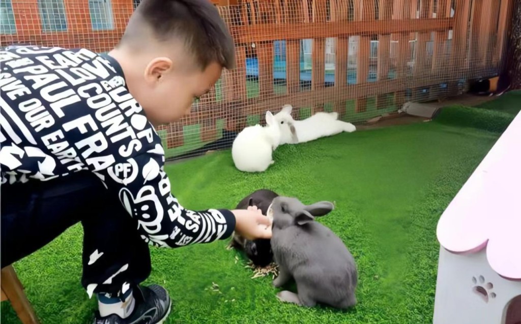 深圳親子好去處推介︳深圳野恩動物園親親小動物（圖片來源：小紅書@景景同學）