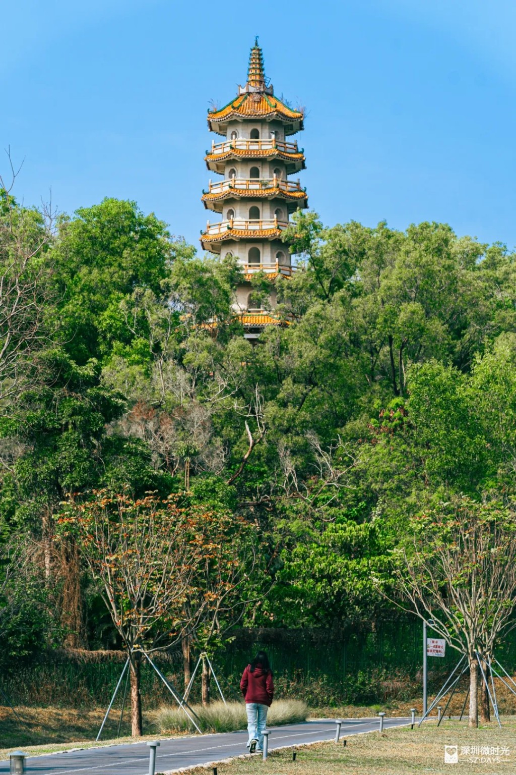 關閉逾30年的深圳西麗塔，再次免費開放。深圳微時光