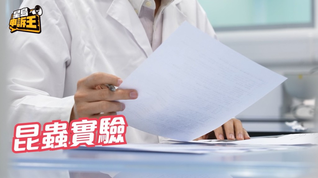 劉元帥教授及其團隊首先進行昆蟲實驗。