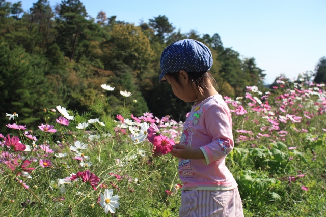 （圖片來源：PhotoAC）