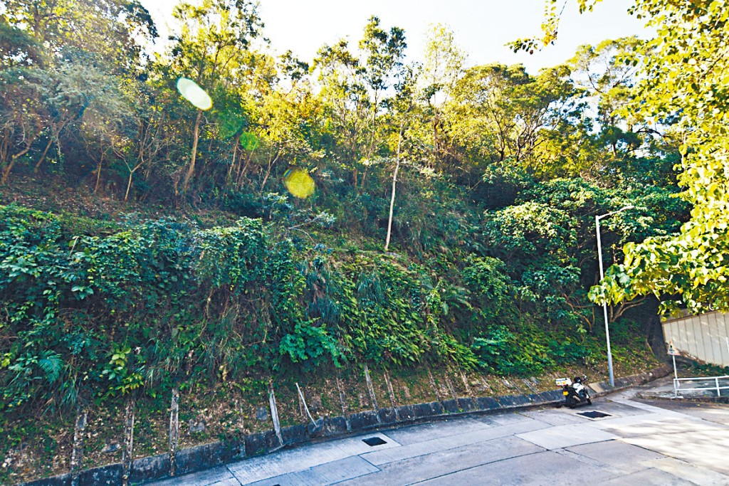 荃灣寶豐路住宅地於今日截標，綜合市場估值約11億至15億，每方呎估值約3500至5000元。