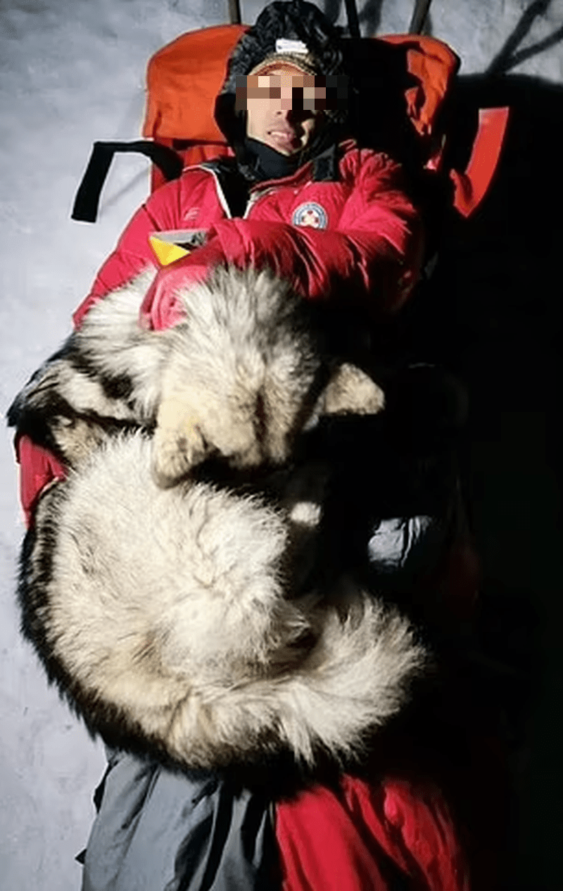登山男靠雪橇犬肉身保暖，撐過了13個小時，成功被救。 FB