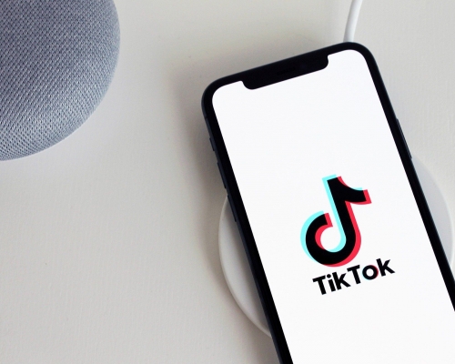 TikTok存在安全性問題。網圖