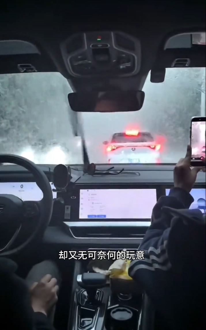 北方多地飞絮风暴大爆发，能见度恶劣。