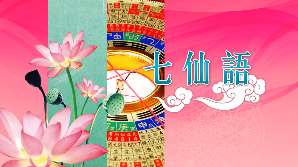 七仙羽 - 她上世是豬｜七仙語