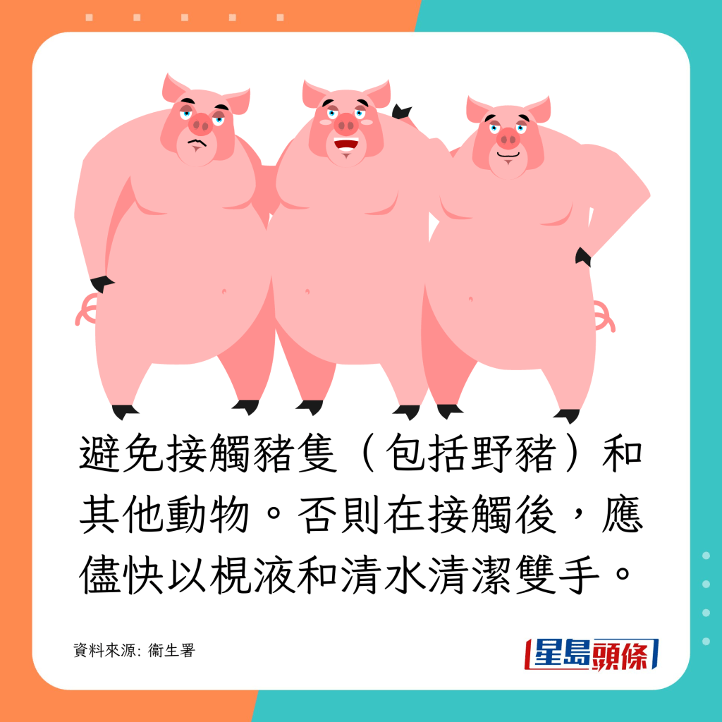 避免接觸豬隻（包括野豬）和其他動物。