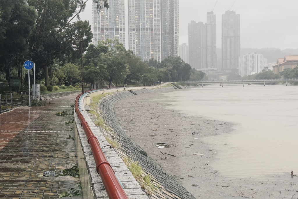 超强台风「桦加沙」今年9月吹袭香港，为本港多处带来影响。资料图片