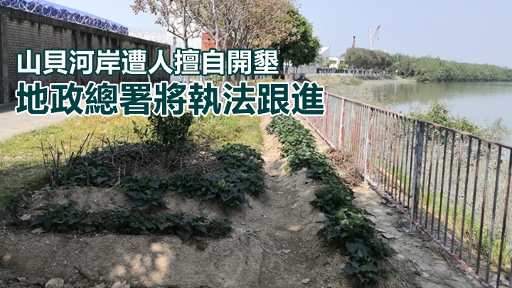 元朗工業邨山貝河岸一段行人路疑被人擅自開墾耕種，地政總署證實屬違規。讀者提供圖片