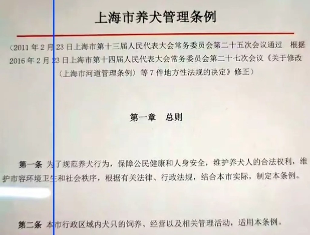 內地的狗主如未為狗隻牽繩，如導致民眾受傷，隨時面臨重罰。