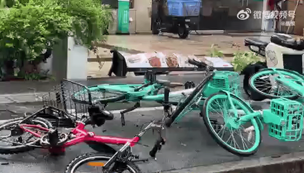 深圳街頭共享單車倒伏。晶報