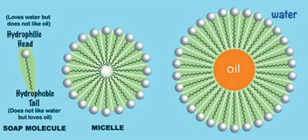 一個肥皂分子包含一個親水帶電荷的「頭」（以白色球體表示）以及一個親脂的「尾」（以黑色波浪條狀表示）。 當遇到油脂時，分子會以膠束（micelle）方式排列，即尾部會連接油脂，頭部對外，由於頭部帶電荷，因此相鄰油滴會因頭部為相同電極而排斥，令其較易被水沖走。
