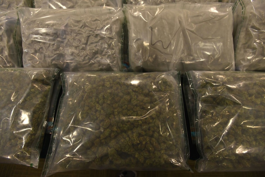 海關發現219袋懷疑大麻花。楊偉亨攝