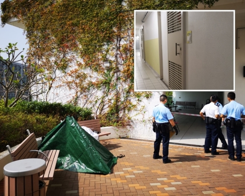 老婦從高處墮下,當場死亡。 梁國峰攝