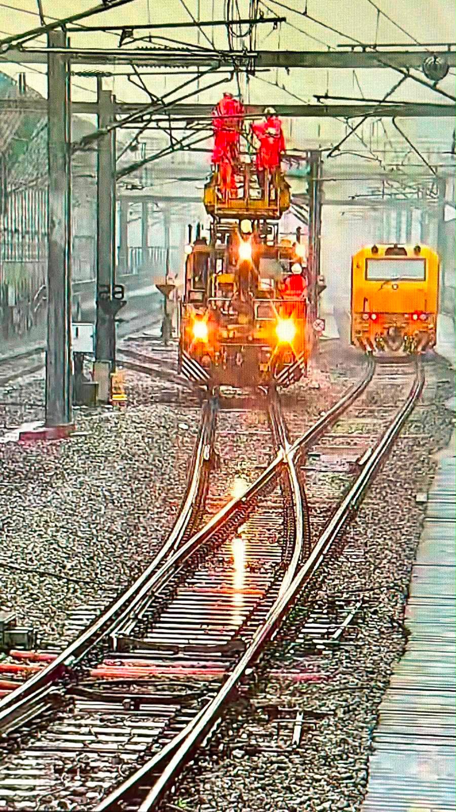 港鐵派人清理東鐵綫太和站附近塌樹及受損的電纜。港鐵提供 港鐵派人清理東鐵綫太和站附近塌樹及受損的電纜。港鐵提供