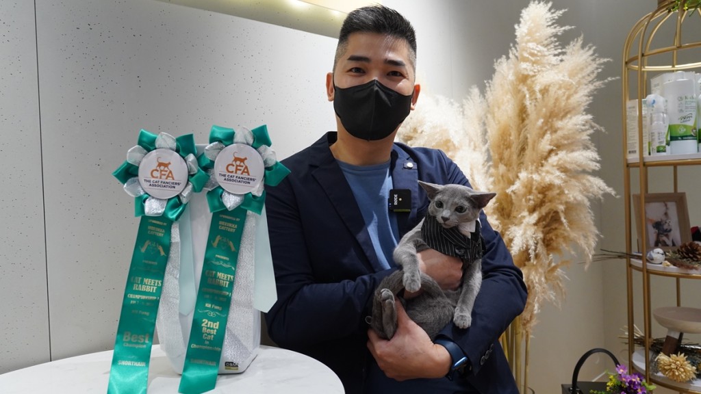 明星貓「MC 丁」獲全品種新秀冠軍貓第一名。葉偉豪攝